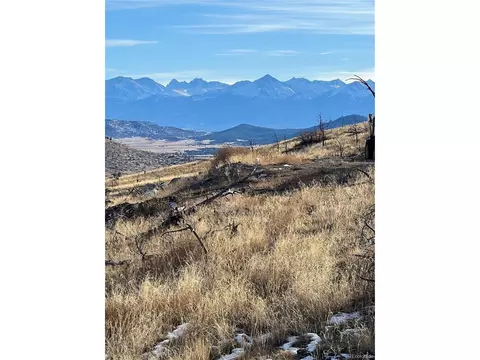 0 I Path, Cotopaxi, CO 81223