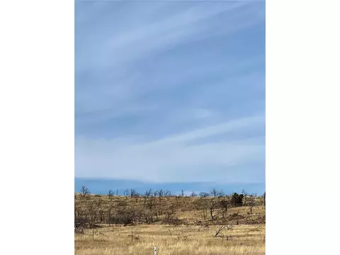 0 I Path, Cotopaxi, CO 81223 photo 16