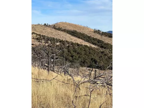 0 I Path, Cotopaxi, CO 81223 photo 7