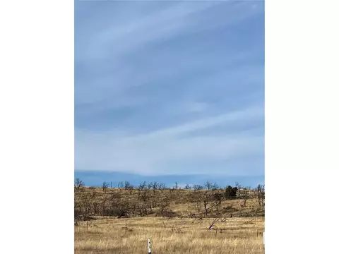 0 I Path, Cotopaxi, CO 81223 photo 17