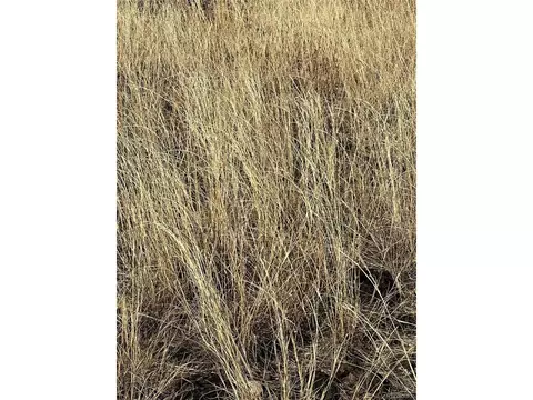 0 I Path, Cotopaxi, CO 81223 photo 9