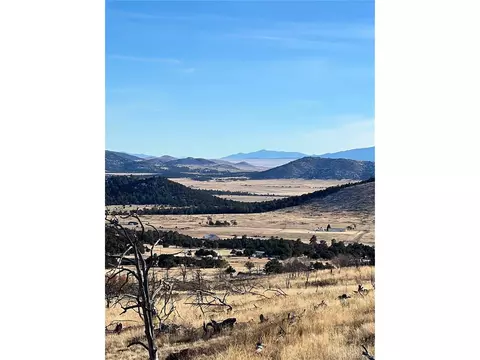 0 I Path, Cotopaxi, CO 81223 photo 11