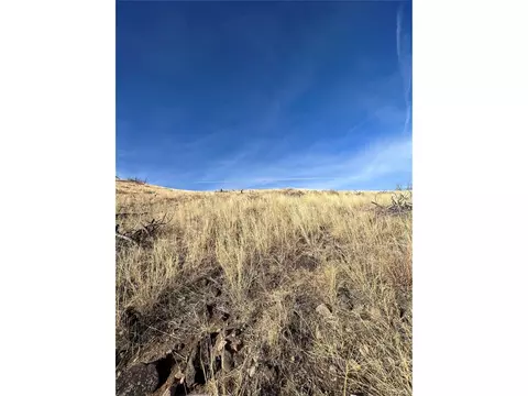 0 I Path, Cotopaxi, CO 81223 photo 4