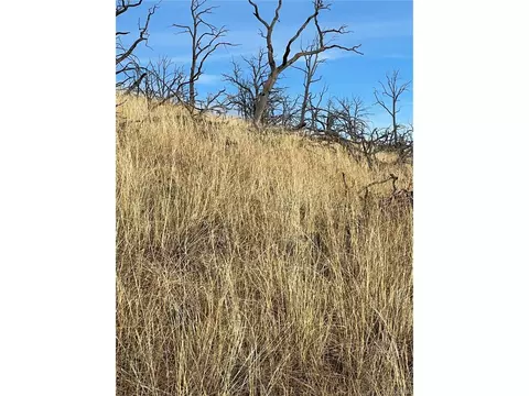 0 I Path, Cotopaxi, CO 81223 photo 8