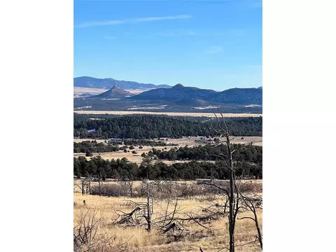 0 I Path, Cotopaxi, CO 81223 photo 10