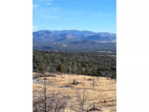 0 I Path, Cotopaxi, CO 81223 photo 5