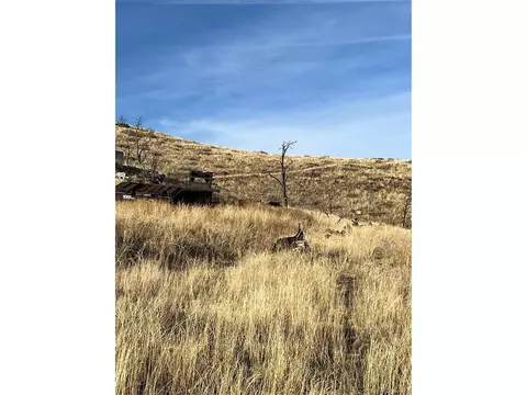 0 I Path, Cotopaxi, CO 81223 photo 2