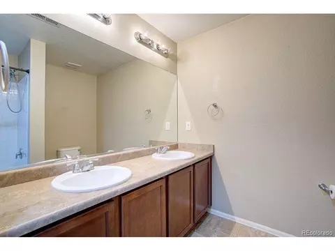 1654 Merton Ct, Windsor, CO 80550 photo 22