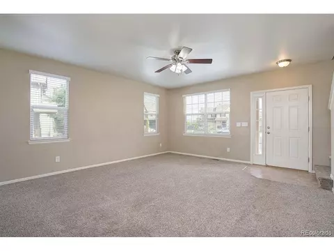 1654 Merton Ct, Windsor, CO 80550 photo 5
