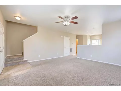 1654 Merton Ct, Windsor, CO 80550 photo 4