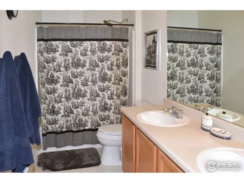 11214 Coal Mine St, Firestone, CO 80504 photo 10
