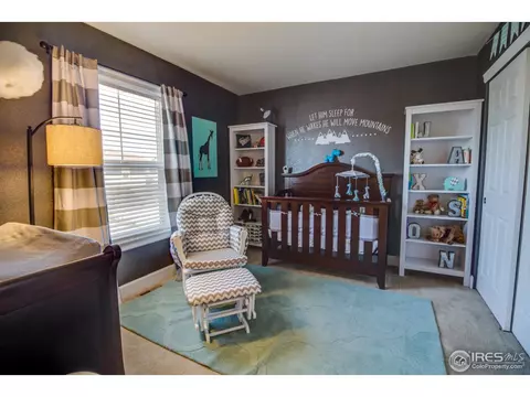 9506 E 108th Dr, Henderson, CO 80640 photo 12