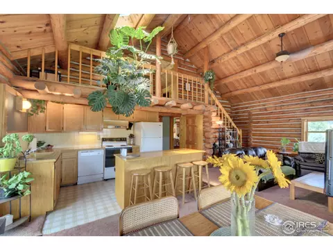 57 Jasper Dr, Lyons, CO 80540 photo 16