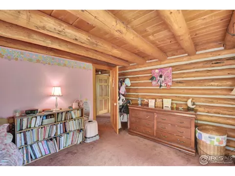 57 Jasper Dr, Lyons, CO 80540 photo 22
