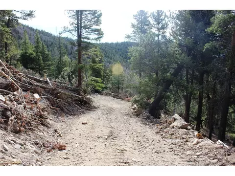 4 Lamertine Rd, Idaho Springs, CO 80452