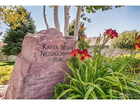 852 Cliffrose Way, Severance, CO 80550 photo 4