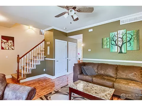 852 Cliffrose Way, Severance, CO 80550 photo 18