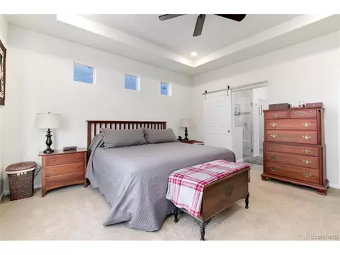 20364 E 53rd Dr, Denver, CO 80249 photo 21