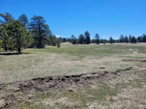 495 Ring Rd, Guffey, CO 80820 photo 9