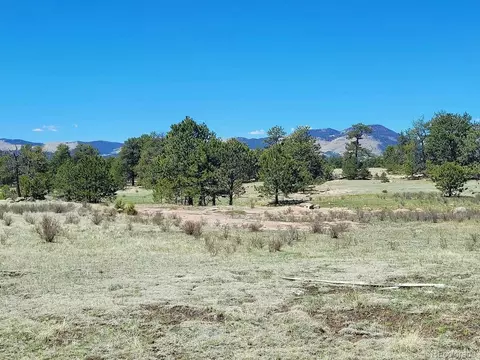 495 Ring Rd, Guffey, CO 80820 photo 12