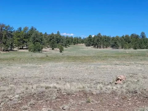 495 Ring Rd, Guffey, CO 80820 photo 11