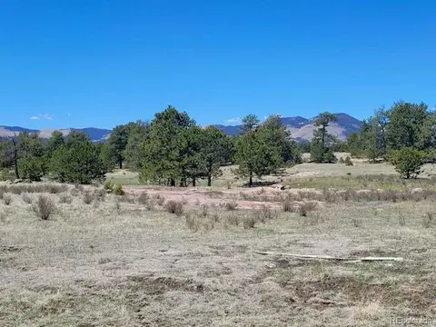 495 Ring Rd, Guffey, CO 80820 photo 4