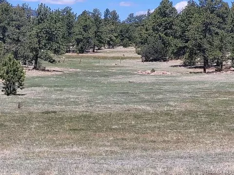 495 Ring Rd, Guffey, CO 80820 photo 6