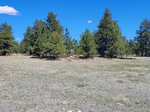 495 Ring Rd, Guffey, CO 80820 photo 10