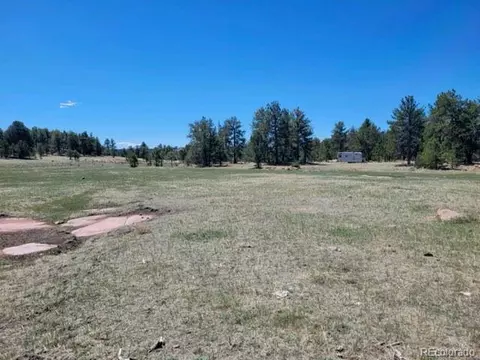 495 Ring Rd, Guffey, CO 80820 photo 1