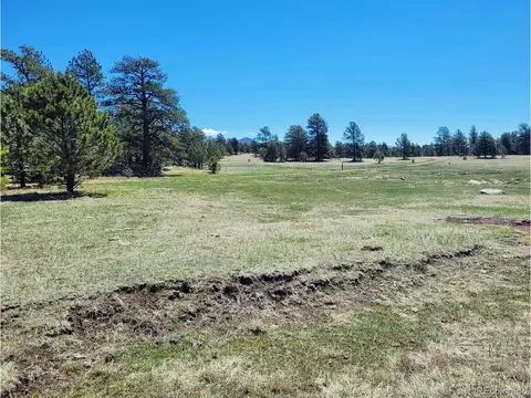495 Ring Rd, Guffey, CO 80820 photo 5