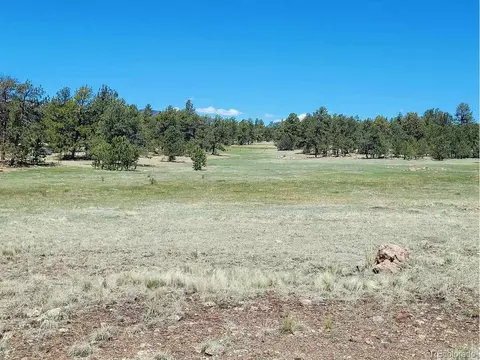 495 Ring Rd, Guffey, CO 80820 photo 14