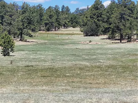 495 Ring Rd, Guffey, CO 80820 photo 13