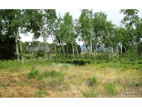7633 Highway 125, Rand, CO 80473 photo 29