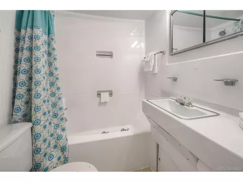 Bath - 220 E La Bonte St #307, Dillon, CO 80435 photo 3 of 3