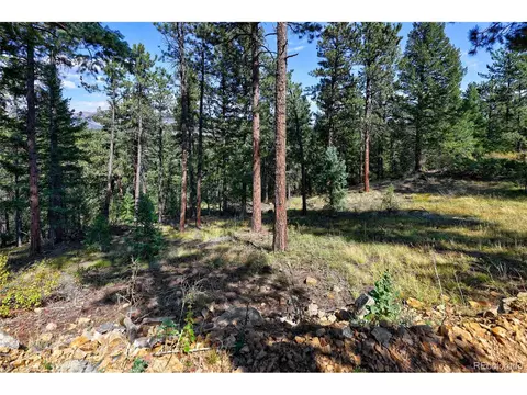 30773 Ruby Ranch Rd, Evergreen, CO 80439 photo 47