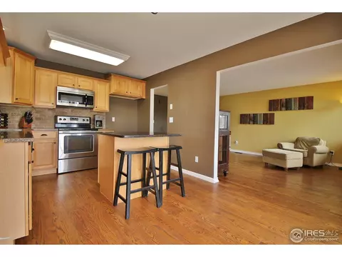 4700 E 112th Pl, Thornton, CO 80233 photo 10