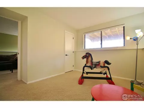 4700 E 112th Pl, Thornton, CO 80233 photo 23