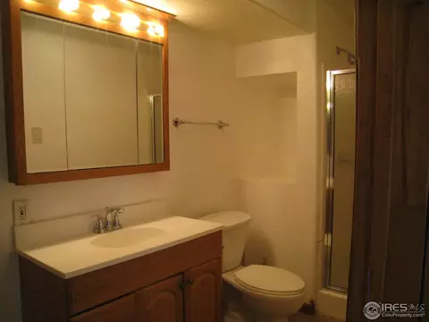 1205 Crest Ct, Windsor, CO 80550 photo 16