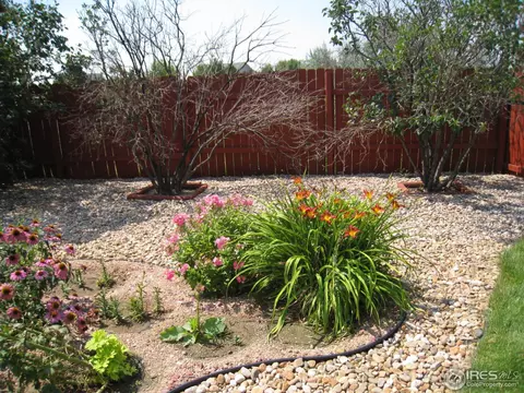 1205 Crest Ct, Windsor, CO 80550 photo 21