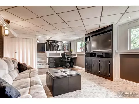4452 S Beech Way, Morrison, CO 80465 photo 19