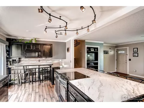 4452 S Beech Way, Morrison, CO 80465 photo 5