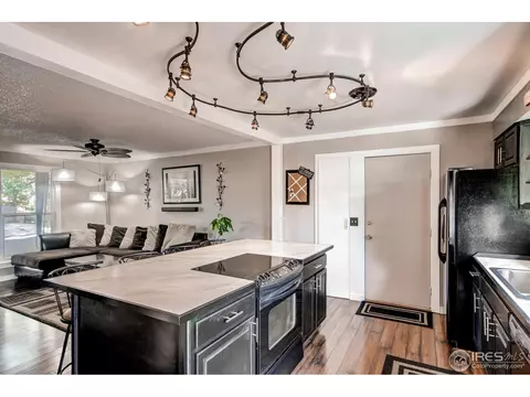 4452 S Beech Way, Morrison, CO 80465 photo 6