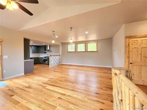 132 Pauls Ln, Bailey, CO 80421 photo 10