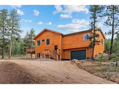132 Pauls Ln, Bailey, CO 80421 photo 2
