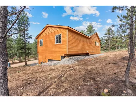 132 Pauls Ln, Bailey, CO 80421 photo 25