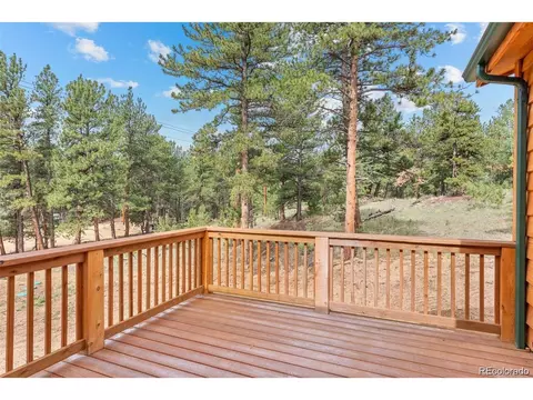 132 Pauls Ln, Bailey, CO 80421 photo 28