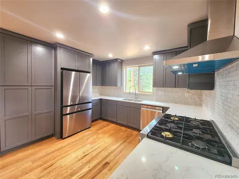 132 Pauls Ln, Bailey, CO 80421 photo 6
