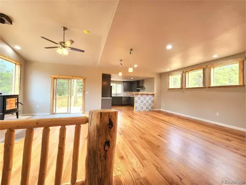 132 Pauls Ln, Bailey, CO 80421 photo 7