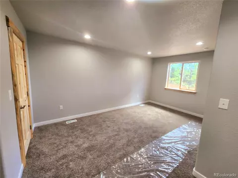 132 Pauls Ln, Bailey, CO 80421 photo 19