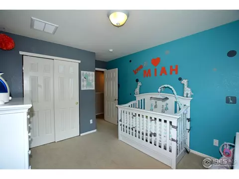 10420 Durango Pl, Longmont, CO 80504 photo 29